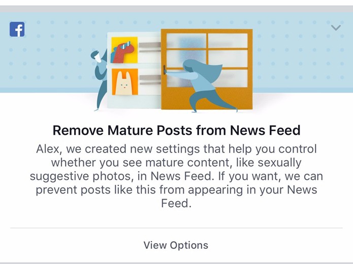 Recurso do Facebook vai impedir que usuário veja conteúdo adulto no feed de notícias (Foto: Reprodução/Business Insider)