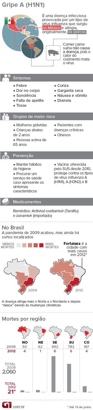 Info gripe A H1N1 (Foto: Arte/G1)