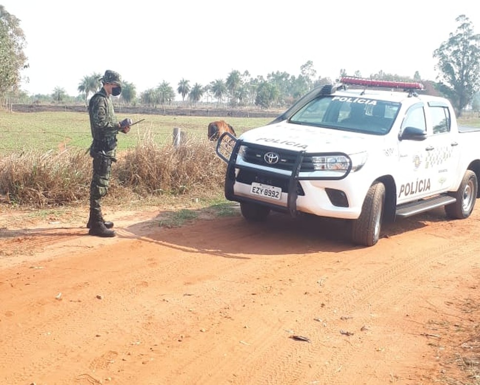 Sitiante levou multa de R$ 4,7 mil em Mirante do Paranapanema (SP) — Foto: Polícia Militar Ambiental