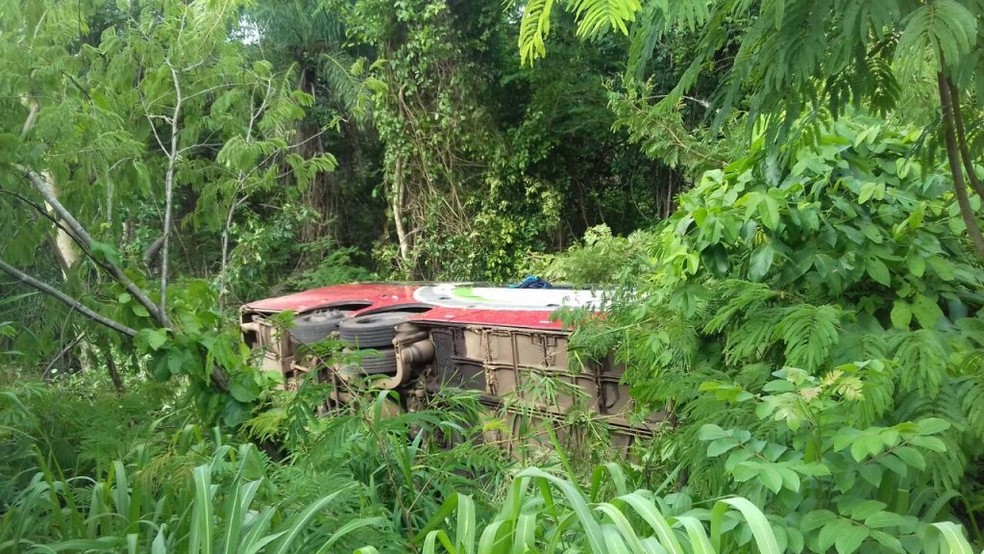 Acidente com ônibus deixou 14 feridos no Tocantins (Foto: Divulgação/PRF)