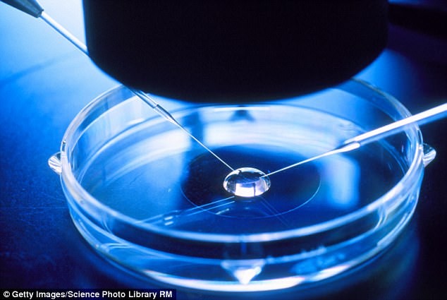 Fertilização in vitro (Foto: Getty Images)
