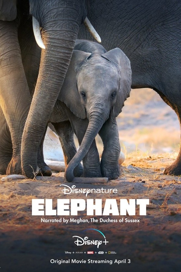 Elephant (Foto: reprodução)