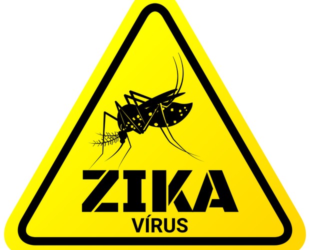 Zika vírus (Foto: Thinkstock)