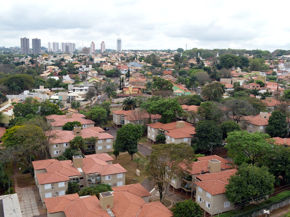De cada 100 imóveis particulares em Campo Grande, 96 possuem uma árvore, diz IBGE — Foto: Anderson Viegas/G1 MS