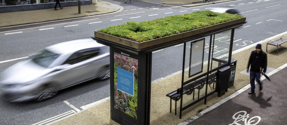 Com telhado verde em paradas de ônibus, Reino Unido quer mais estruturas 'amigas das abelhas'