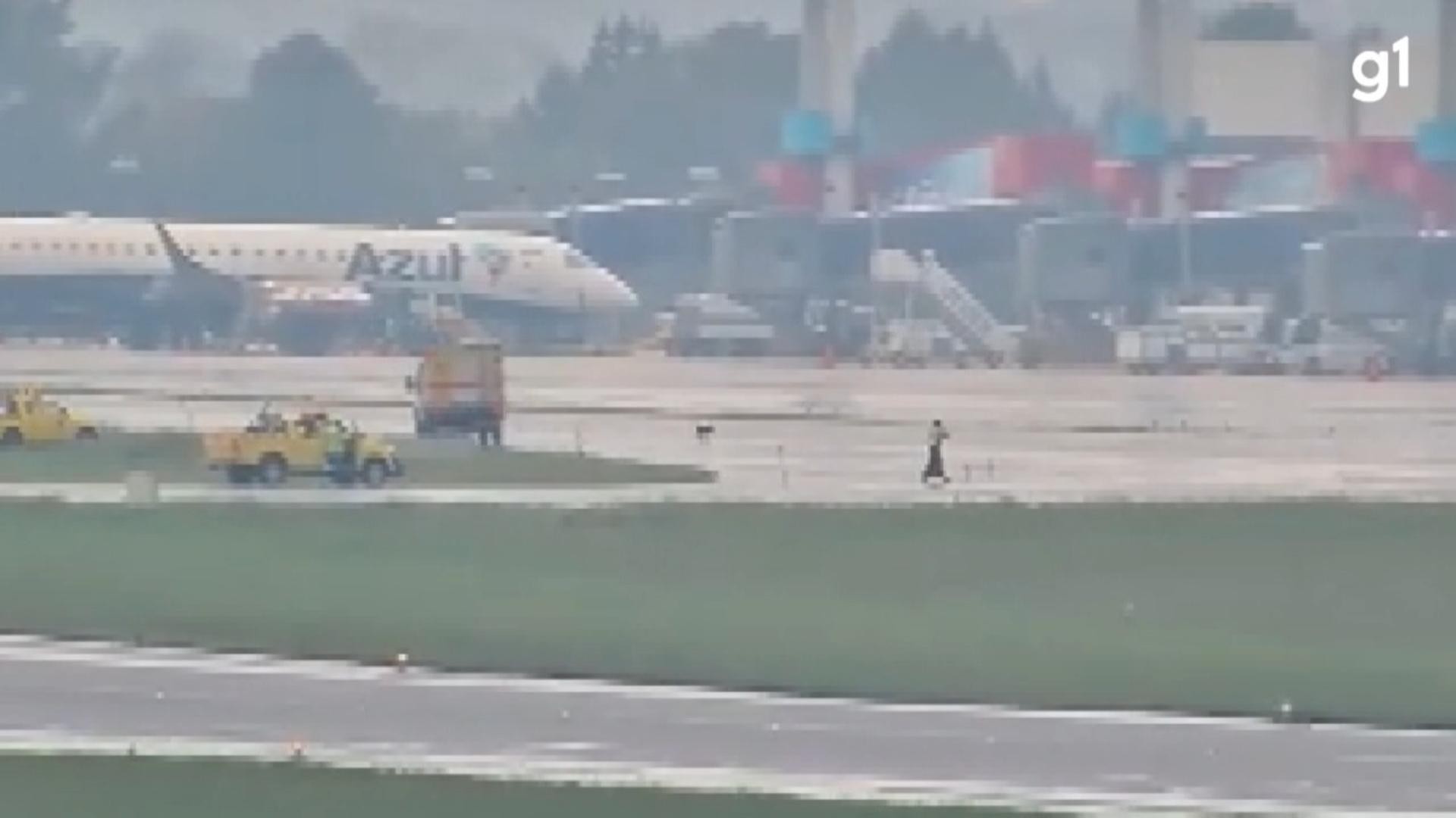 VÍDEO: cachorro invade pista e atrasa voos no Aeroporto Internacional Afonso Pena