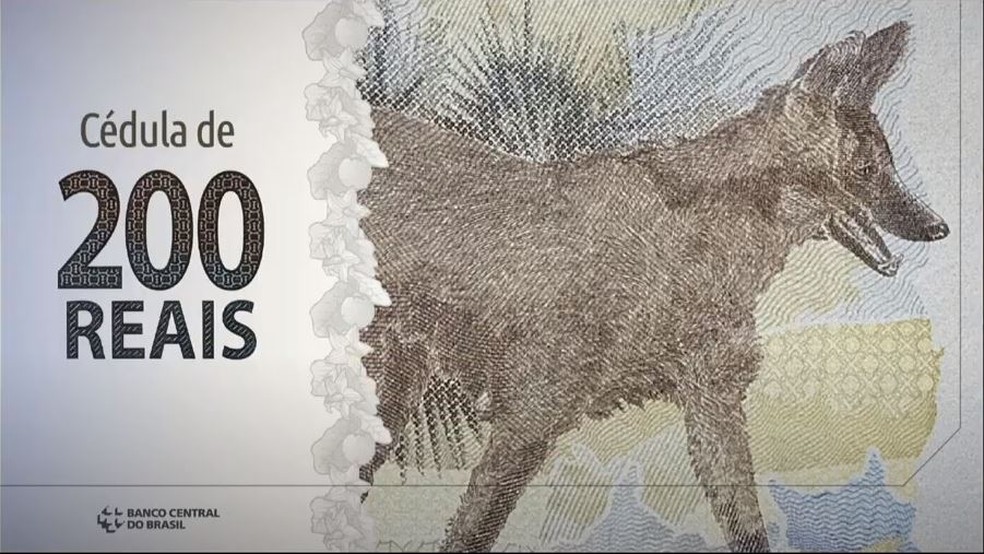 Cédula de R$ 200 traz figura do lobo-guará — Foto: Reprodução
