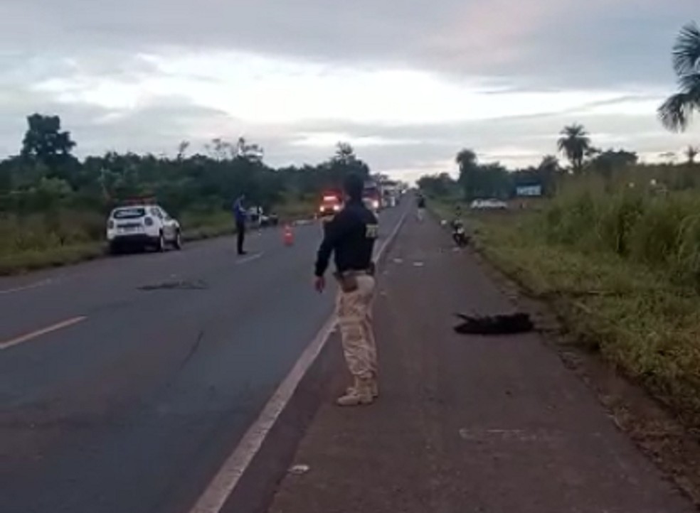 Acidente aconteceu na BR-153 em Araguaína — Foto: Divulgação