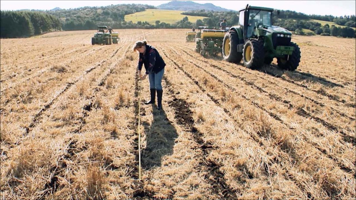 Plantio Direto é Um Jeito Mais Natural De Cultivar A Terra Agro A Indústria Riqueza Do Brasil G1 9673