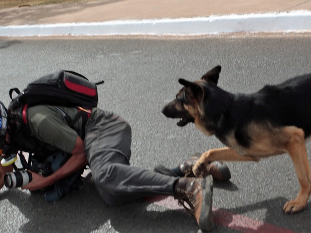 Depois de afastar os manifestantes próximo ao Estádio Nacional de Brasilia, policiais com cães agrediram dois fotógrafos: o da Folha, Fábio Braga (foto), e o fotógrafo Marcelo Marcelino. (Foto: André Coelho/Agência O Globo)