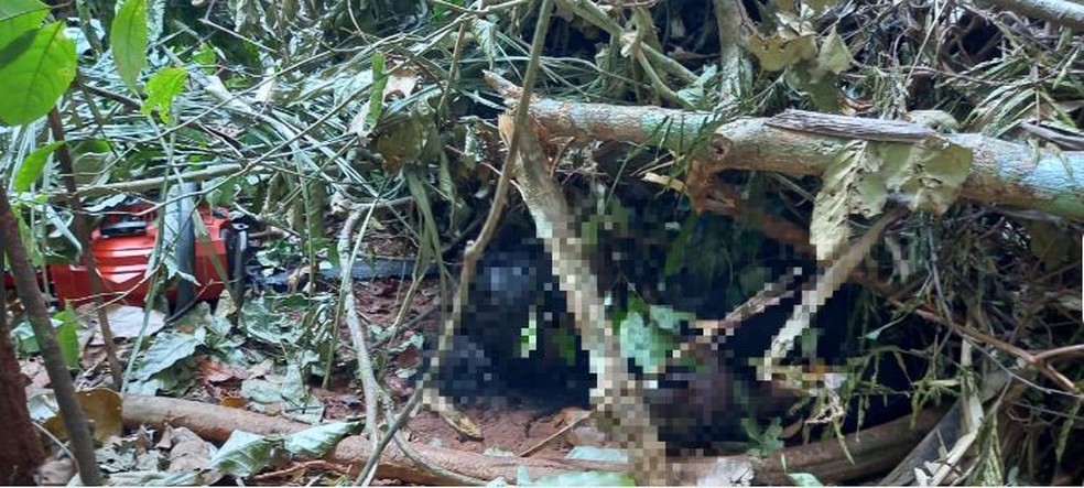 Corpo da vítima foi encontrado embaixo de uma árvore na Estrada Parque, em Nova Mamoré — Foto: Redes sociais/Divulgação