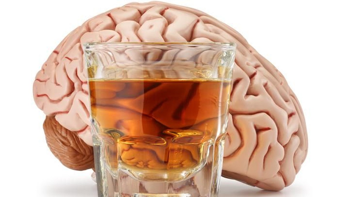 How alcohol damages the brain Science and health