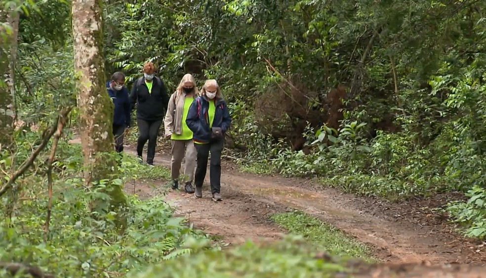 Caminhadas na Natureza  — Foto: RPC/Reprodução