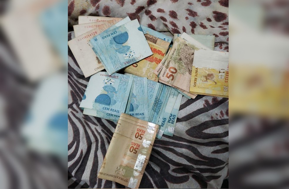 Dinheiro apreendido na operação Welfare — Foto: Divulgação