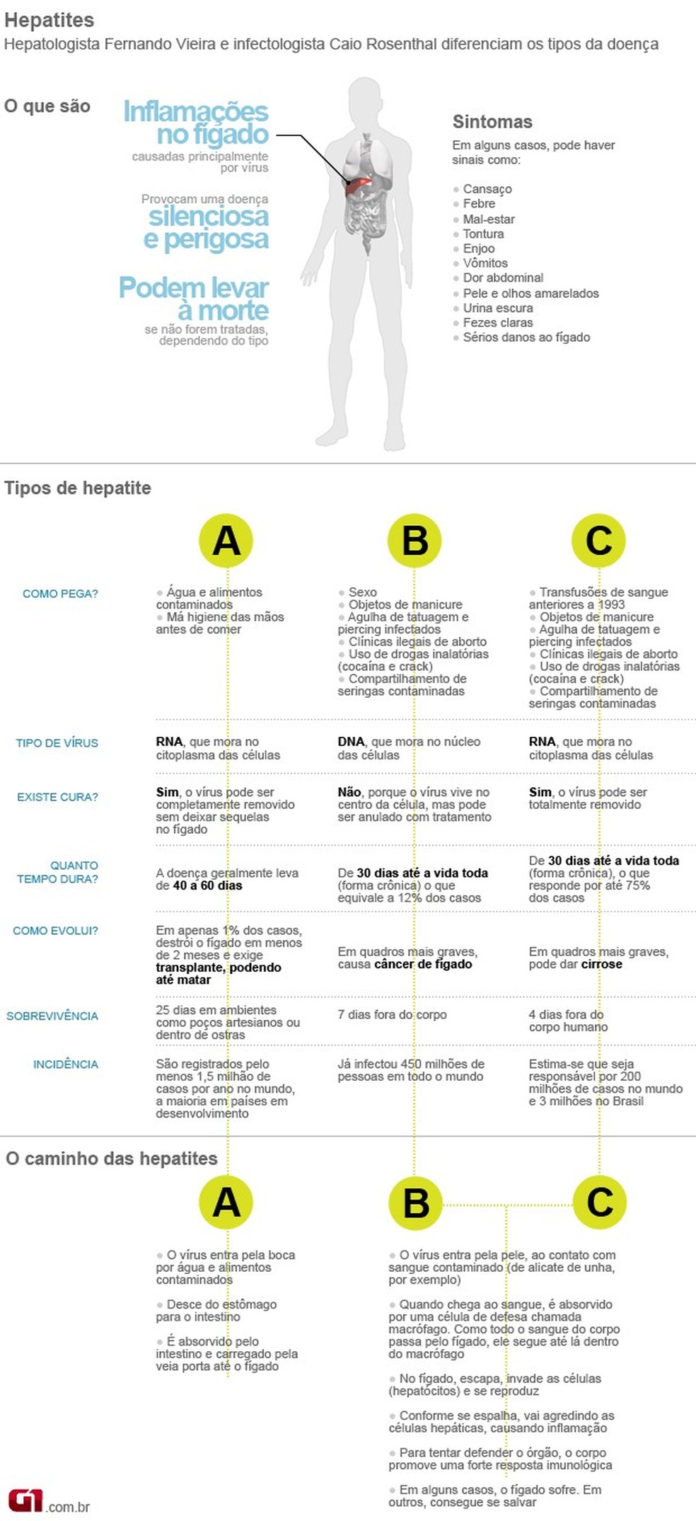 InfogrÃ¡fico explica a hepatite C (Foto: G1 )