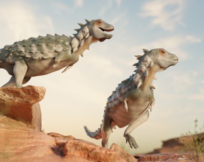 Fóssil revela primeiro dinossauro bípede e "blindado" da América do Sul