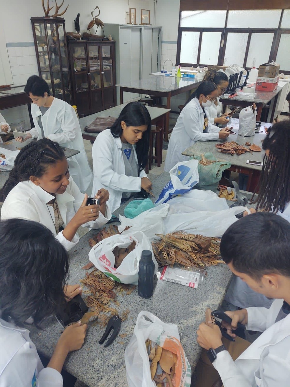 O grupo é formado por voluntários do curso de Ciências Biológicas da Faculdade Frasinnetti (Fafire), do Recife — Foto: Faculdade Frasinnetti/Divulgação