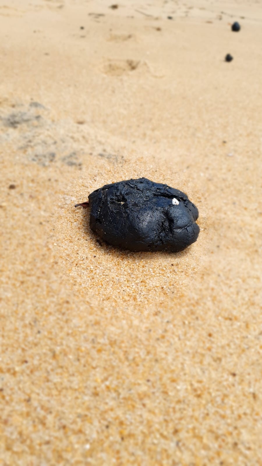 Manchas de óleo voltam a aparecer em mais uma praia no litoral do RN; Petrobras diz que não registra vazamentos