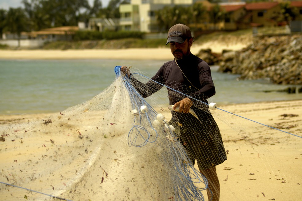 Pescados estão aptos para serem consumidos — Foto: Cícero Oliveira/UFRN