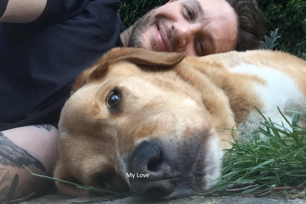 Tom Hardy e seu cachorro Woody; labrador morreu na última semana (Foto: Reprodução)