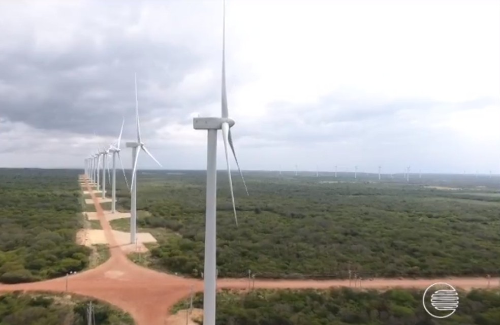 Complexo de energia eólica em Curral Novo do Piauí proporcionou aumento no PIB da cidade — Foto: Reprodução/TV Clube