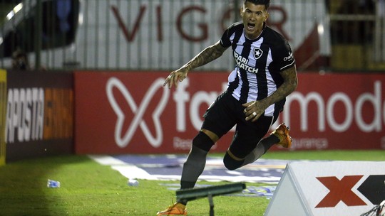 Botafogo vence a Portuguesa e se classifica para a final da Taça Rio