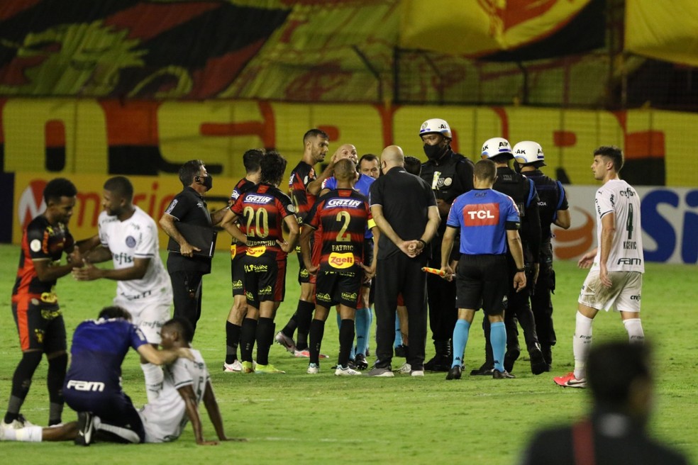 Sport x Palmeiras — Foto: Marlon Costa / Pernambuco Press