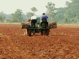 empreendedorismo rural em ariquemes (Foto: TV Rondônia/Reprodução)