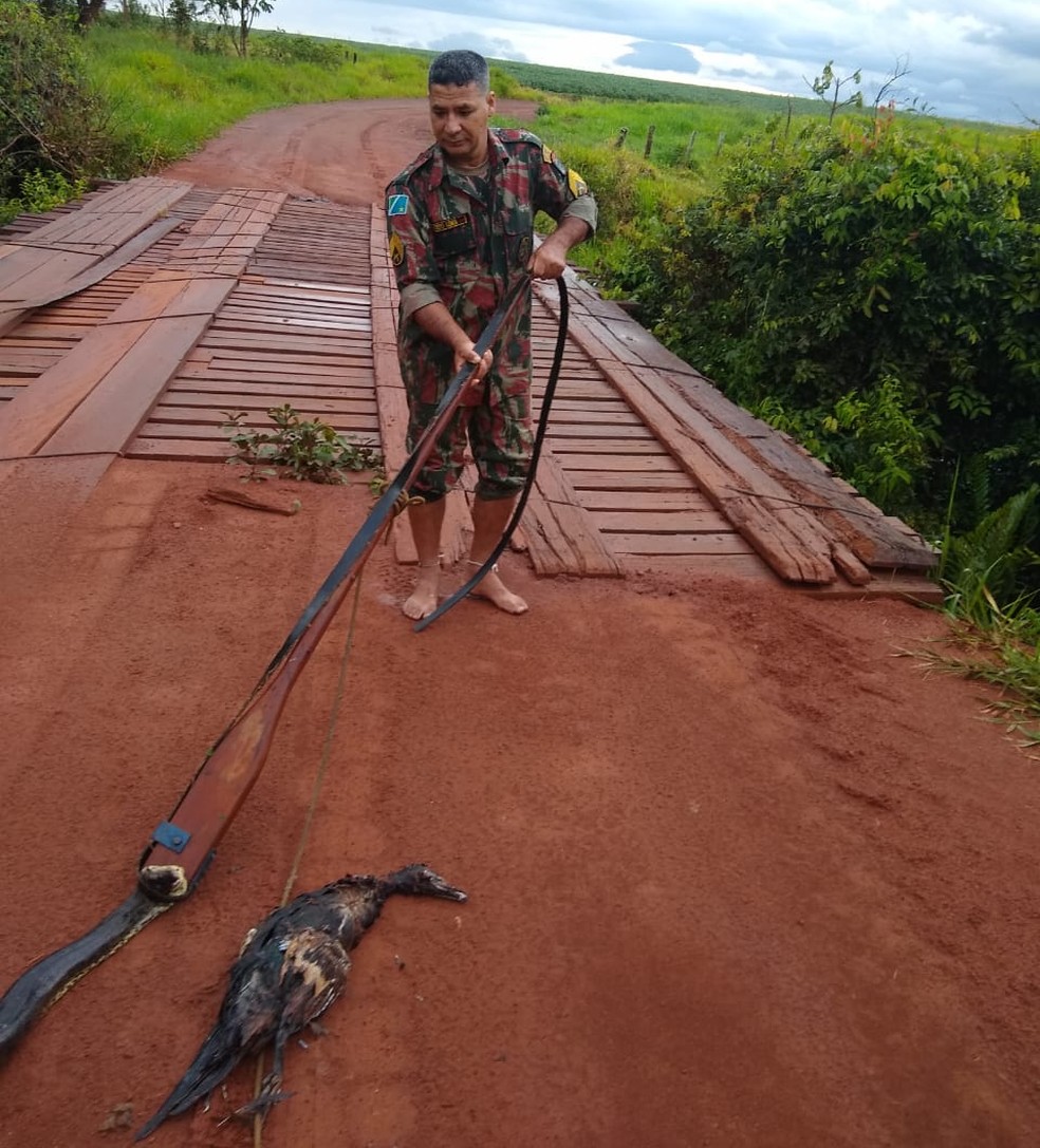 Policial com a cobra apÃ³s ela vomitar um pato â Foto: PMA/DivulgaÃ§Ã£o
