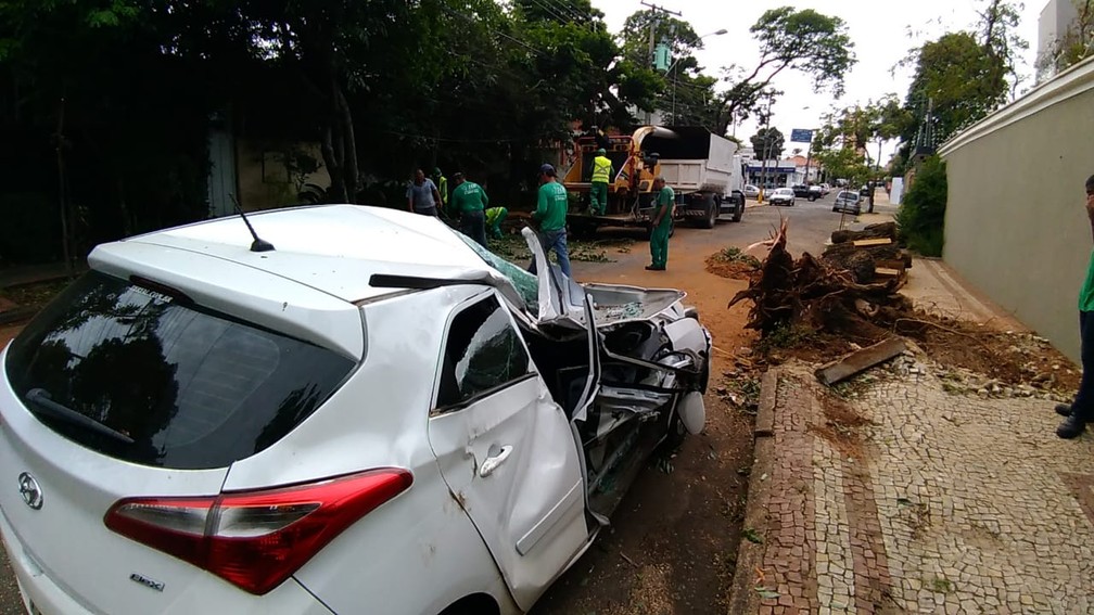 Equipe da Sedema retira árvore que atingiu três carros no bairro São Dimas em Piracicaba — Foto: João Alvarenga/EPTV