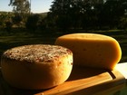São João del Rei terá curso para produção de queijo artesanal 