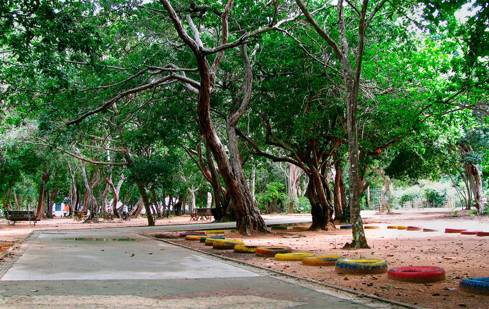 Confira o funcionamento do Parque das Dunas e do Cajueiro de Pirangi durante o Carnaval — Foto: Vanessa Simões