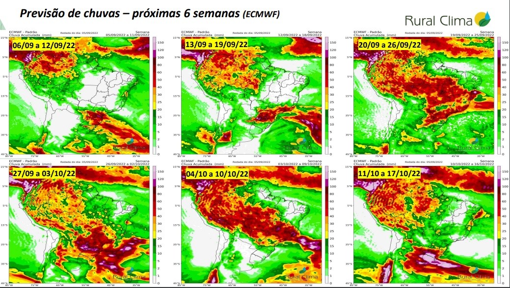 Mapa indica previsão de chuva para as próximas seis semanas de acordo com o modelo europeu de análise. Tendência é de maior umidade (Foto: Rural Clima)
