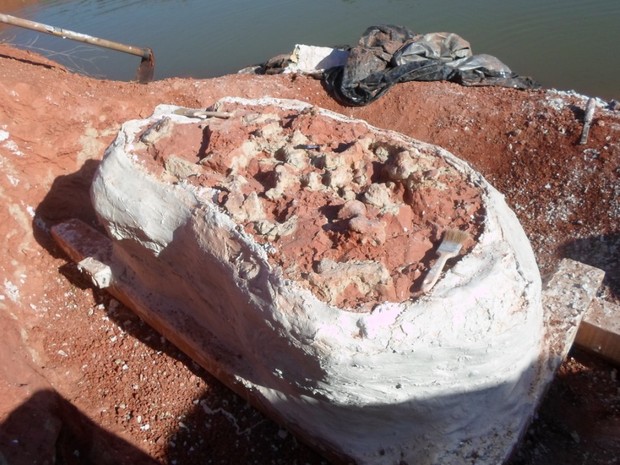 Pesquisadores descobriram ossada em Dona Francisca (Foto: Divulgação CAPPA/UFSM)