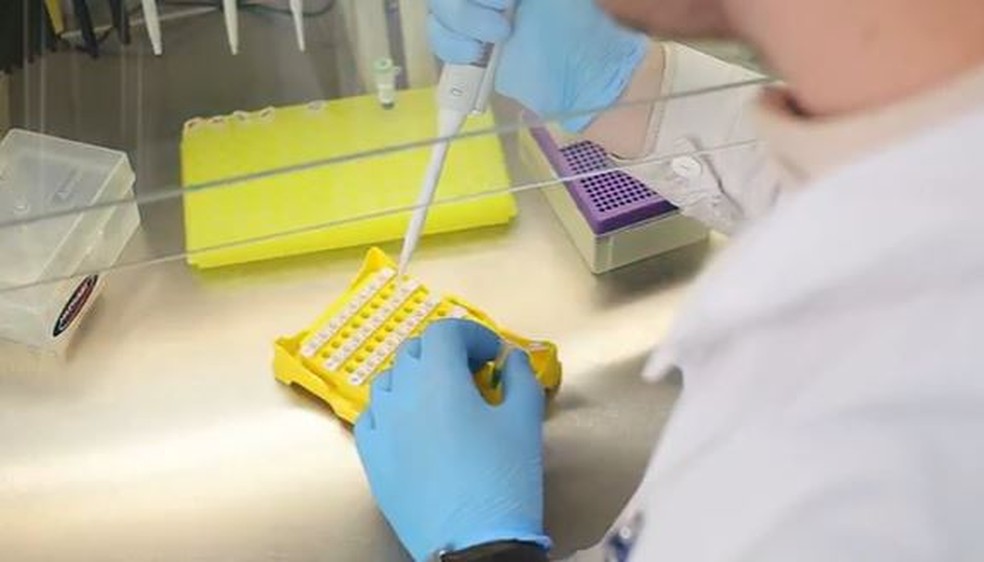 Pesquisas e estudos sobre o DNA estão sendo desenvolvidos utilizando a tecnologia  — Foto: Reprodução/ NSC TV