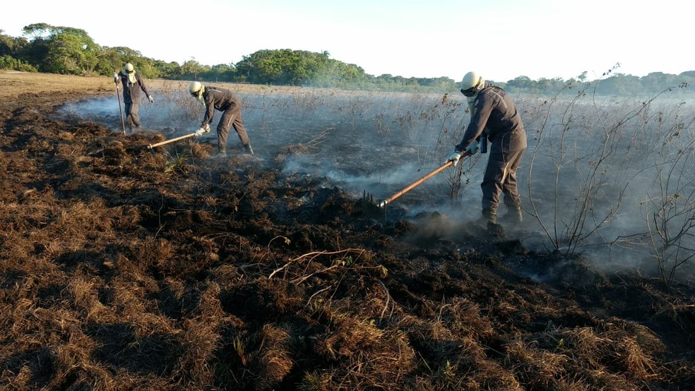 Equipes trabalham para controlar chamas em Trancoso — Foto: Divulgação/Corpo de Bombeiros