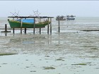 Maré seca atinge litoral de São Paulo até o Rio Grande do Sul