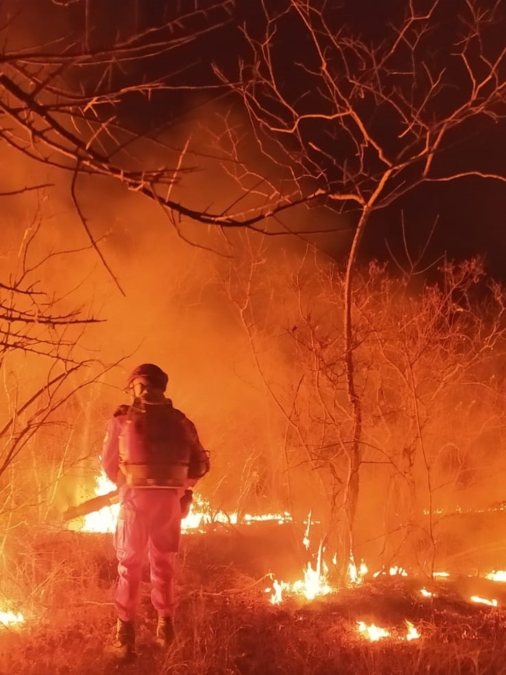 Bombeiros combatem incêndio em serras na divisa entre Piauí e Ceará — Foto: Divulgação/Corpo de Bombeiros