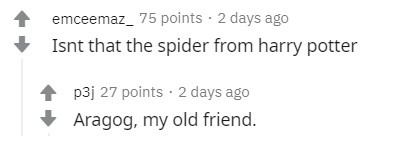 Usuários do Reddit se surpreendem com semelhança de aranha australiana com o personagem Aragogue (Foto: reprodução)