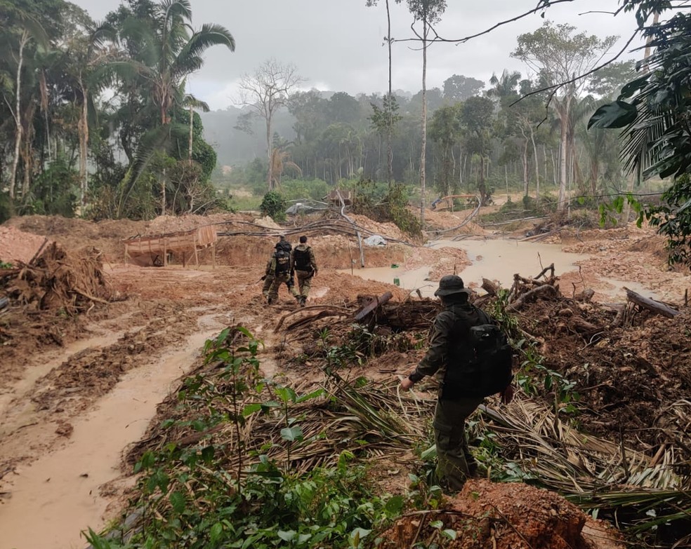 Operação Ato Reflexo apura garimpo ilegal em Terra Indígena Aripuanã (MT) — Foto: Polícia Federal
