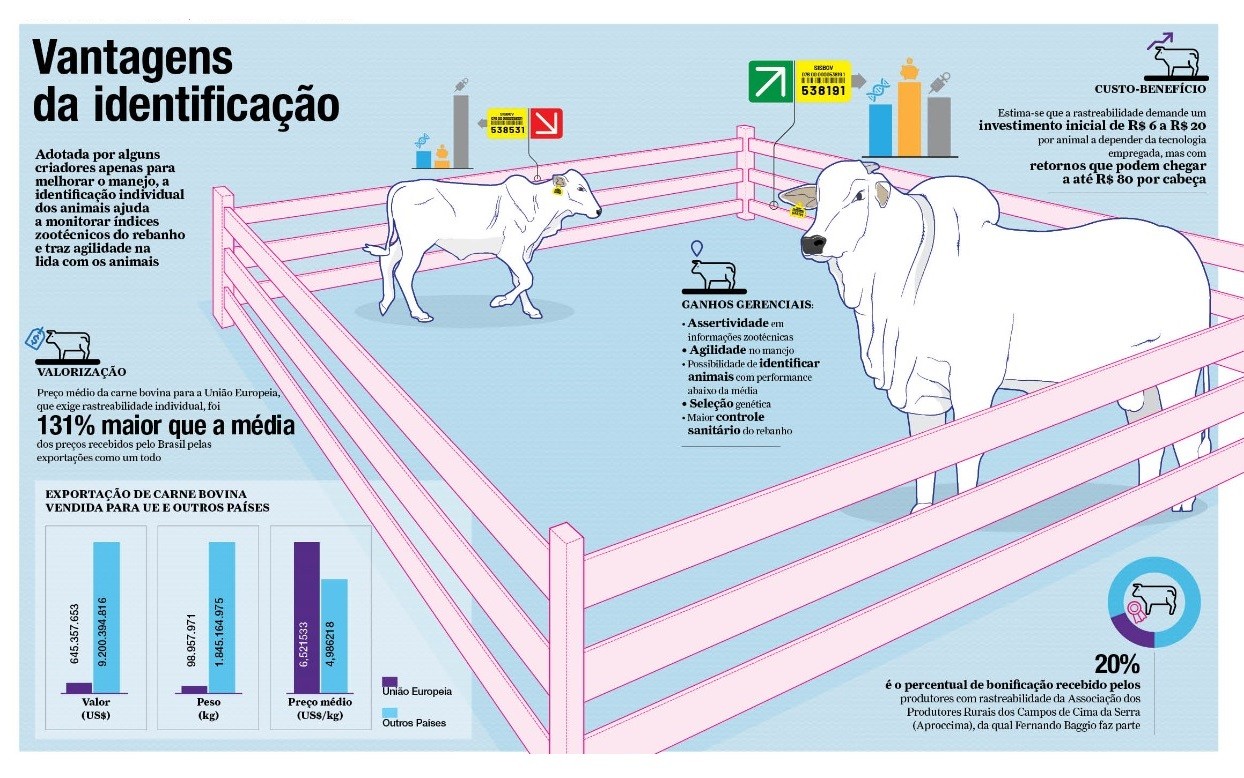 Globo Rural de outubro destaca a revolução da inseminação artificial em  tempo fixo - Revista Globo Rural