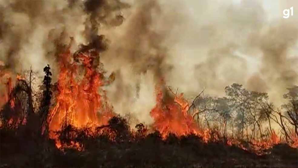 Fogo consome vegetação às margens do Rio Paraguai, no Pantanal de MS.— Foto: TV Morena/Reprodução