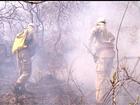 Incêndio destrói cerca de 30% da Serra de Jaraguá, dizem bombeiros