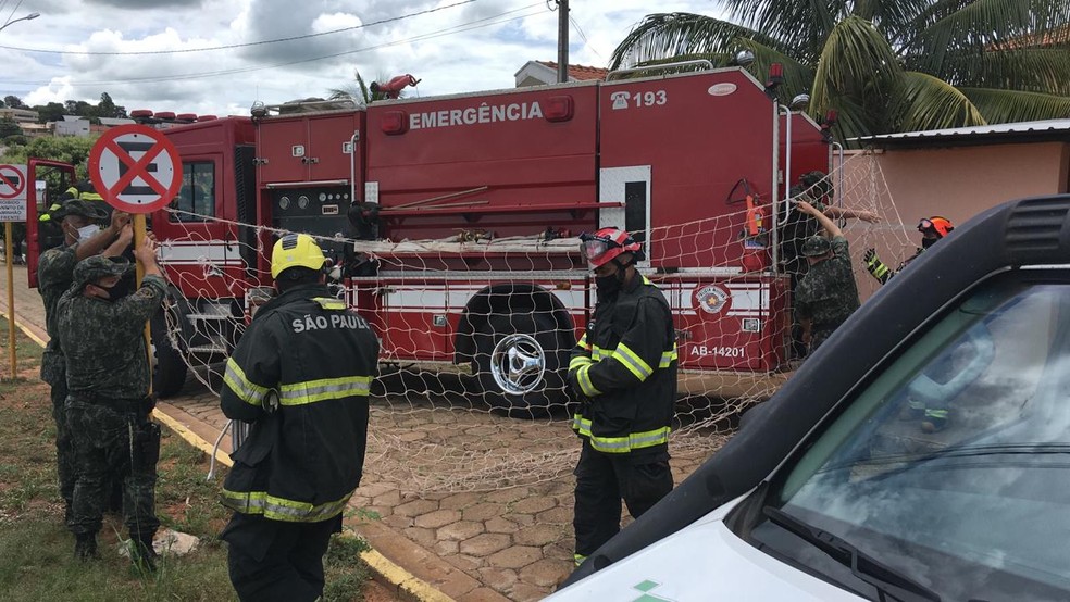 Bombeiros e policiais montaram um corredor de passagem por onde a onça-parda voltou à natureza — Foto: Carlos Volpi/TV Fronteira