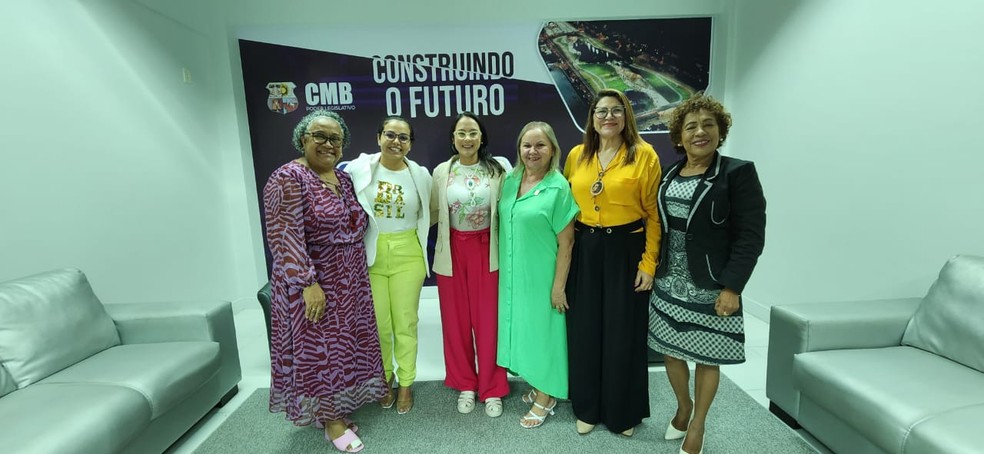 Integrantes da 'Procuradoria Especial da Mulher'. — Foto: Divulgação