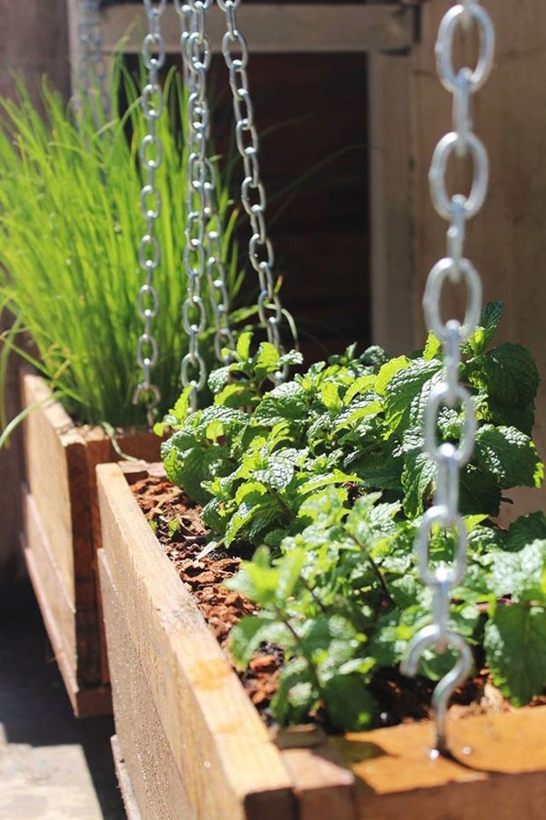 8 dicas de jardinagem para iniciantes  (Foto: Reprodução/Casa Vogue)