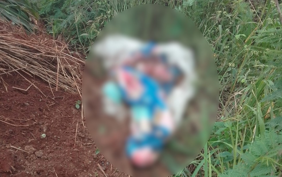 Corpo de idosa foi achado às márgens de rodovia, em Goiás — Foto: Divulgação/PCGO