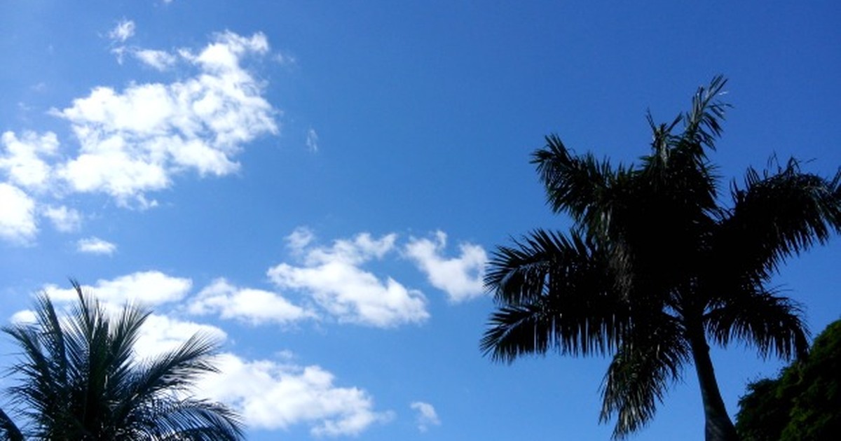 G1 - Sábado em Campo Grande começa com 14ºC, chuva e tempo nublado -  notícias em Mato Grosso do Sul