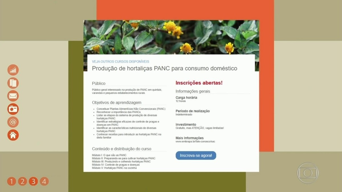 Campanha Dengue 2024 – 2 Fase.