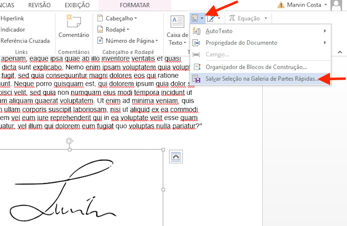 Salvando a assinatura para usar depois no Microsoft Word (Foto: Reprodução/Marvin Costa)